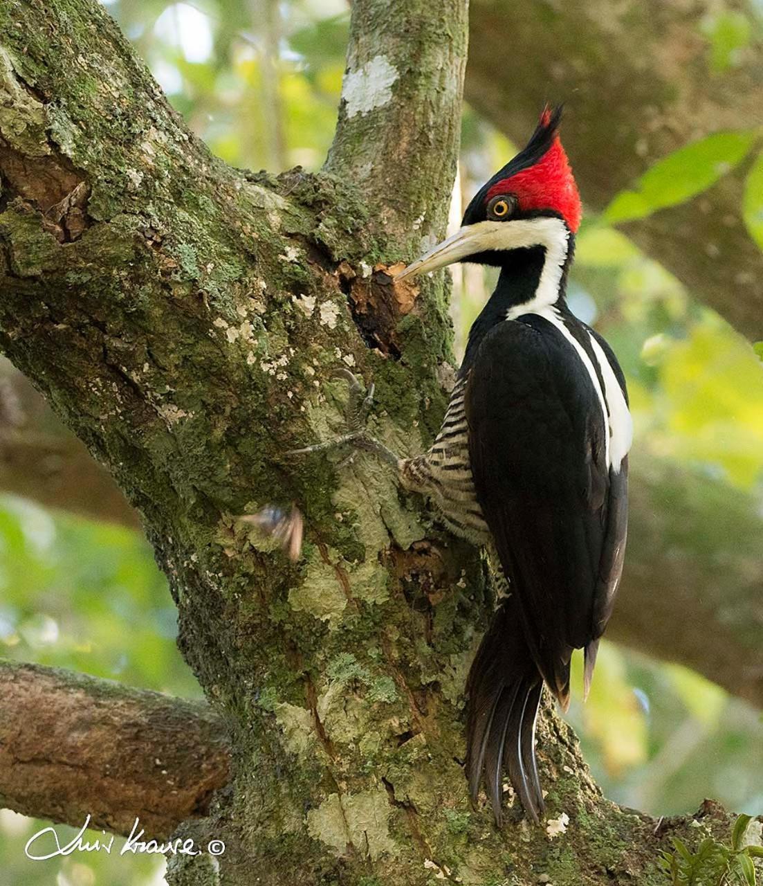 O Canto Do Vale Trancoso Eksteriør bilde